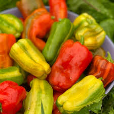Pepper, Snack