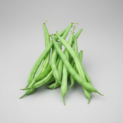 Bean Provider Seeds – Heirloom Early Bush Green Bean Classic