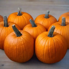 Pumpkin, Racer Plus