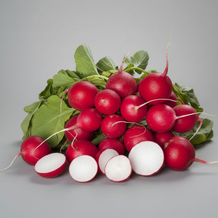 Radish Cherry Belle Seeds – Heirloom Fast-Growing Classic