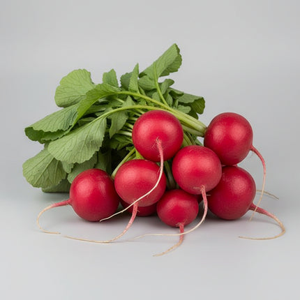 Radish Early Scarlet Globe Seeds – Heirloom Super-Fast Spring Classic