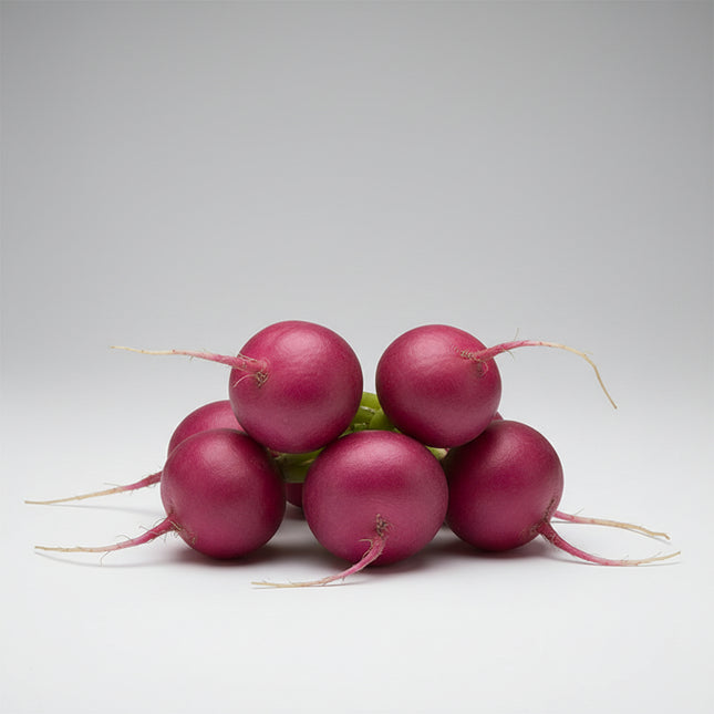 Radish Purple Plum Seeds – Heirloom Vibrant Purple Spring Classic