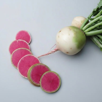 Radish Watermelon Seeds – Heirloom Sweet Specialty Root Classic