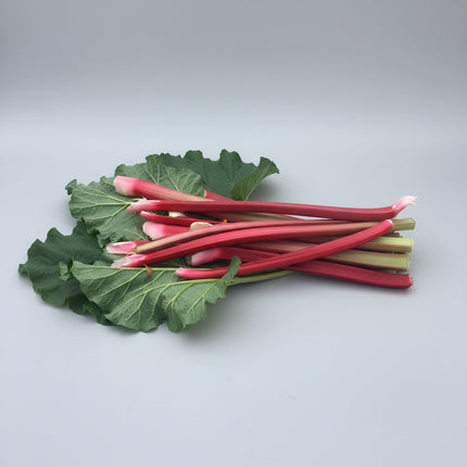 Rhubarbe