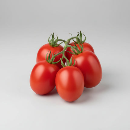 Tomate, Roma