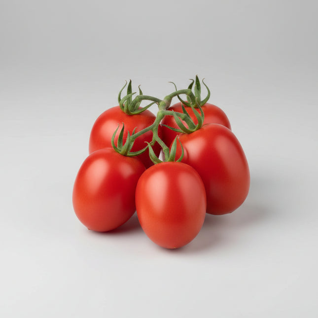 Tomato Roma Seeds – Heirloom Classic Paste Standard