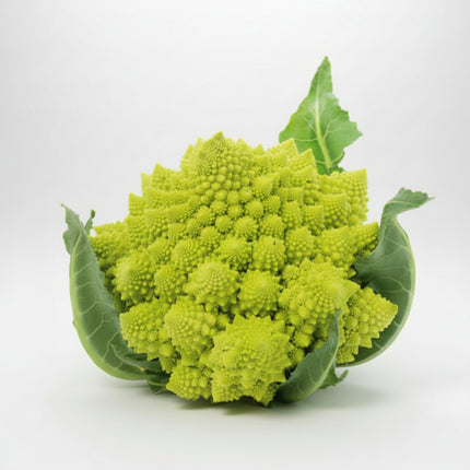 Broccoli Romanesco Seeds – Heirloom Italian Fractal Heritage Classic