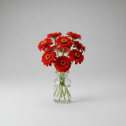 Zinnia, mélange de State Fair