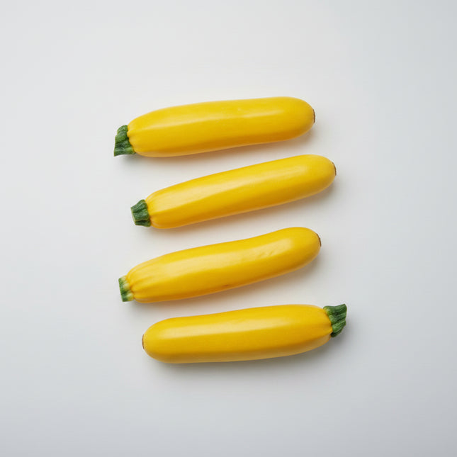 Zucchini Straightneck Seeds – Heirloom Yellow Summer Classic
