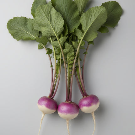 Turnip Purple Top White Globe Seeds – Heirloom Dual-Purpose Root