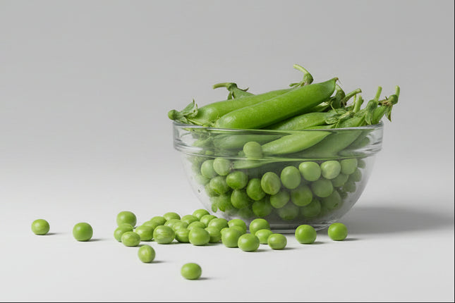 Pea Wando Seeds – Heirloom Heat-Tolerant Shelling Classic